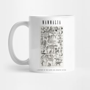 Vintage Mammal Skeleton Illustration Mug